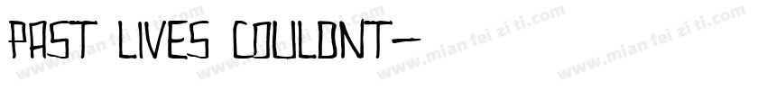 Past lives couldnt字体转换